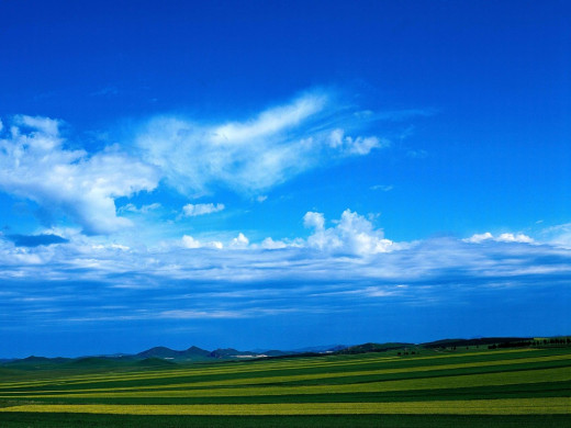 24739 (a): :1024x768